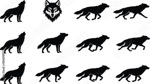 Wolf Silhouette Set with Howling, Running, and Standing Poses, Including a Detailed Head Graphic for Wildlife Logos, Conservation, and Wilderness Design