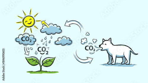 Bright educational drawing of the carbon cycle depicting plant photosynthesis, animal respiration and solar energy interaction.
