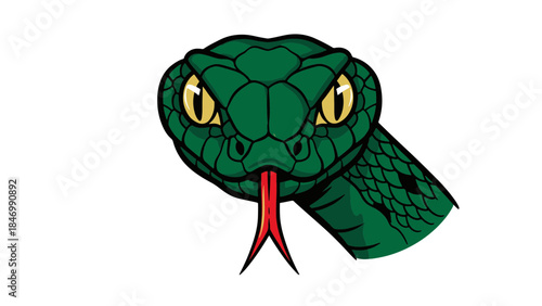 Illustration: Green snake head, yellow eyes, red tongue, black background. A best dynamic reptile graphic.