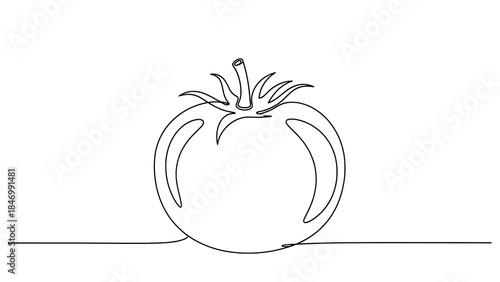 Continuous line drawing featuring a fresh tomato with stem and calyx