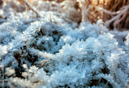 Nature background with grass covered with transparent shiny hoarfrost crystal...