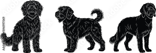 Set of Black Russian Terrier Dog Silhouettes, Shaggy Coated Pet Animal in Different Poses, Long Haired Breed, Isolated Black and White Vector Illustration on Transparent Background