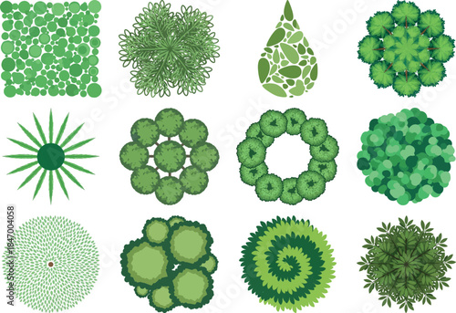 Collection of microscopic algae and phytoplankton species
