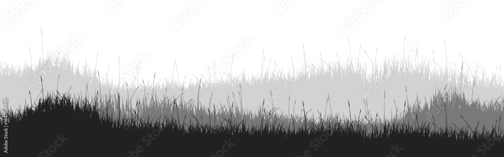 Obraz premium Meadow silhouette with grass, plants on plain. Panoramic summer lawn landscape with herbs, various weeds. Herbal border, frame element. Black horizontal banners. Vector illustration