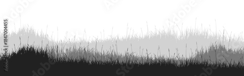 Meadow silhouette with grass, plants on plain. Panoramic summer lawn landscape with herbs, various weeds. Herbal border, frame element. Black horizontal banners. Vector illustration