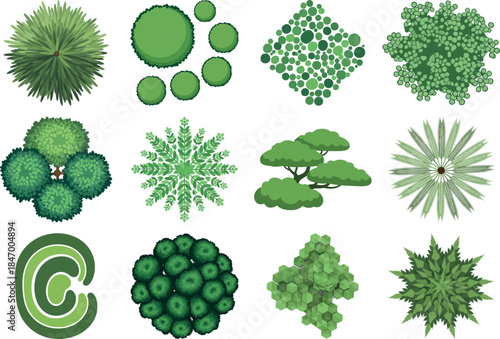Collection of various green fruits and vegetables illustrations