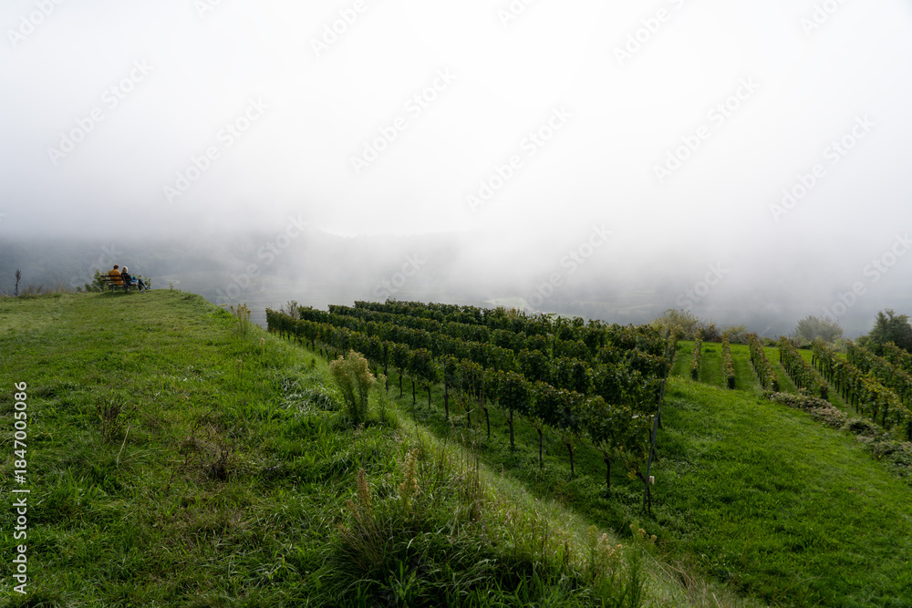 Obraz premium Kaiserstuhl Germany 