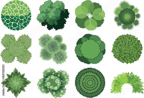 Collection of various green leafy plants and vegetables