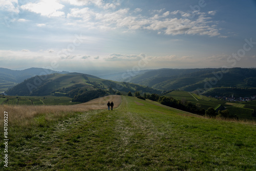  walking in the kaiserstuhl germany