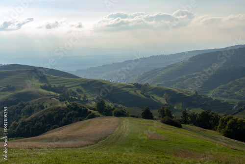 mountain landscape in summer kaiserstuhl
