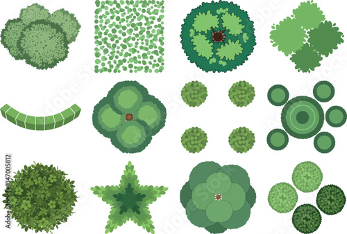 Collection of various green algae forms and shapes
