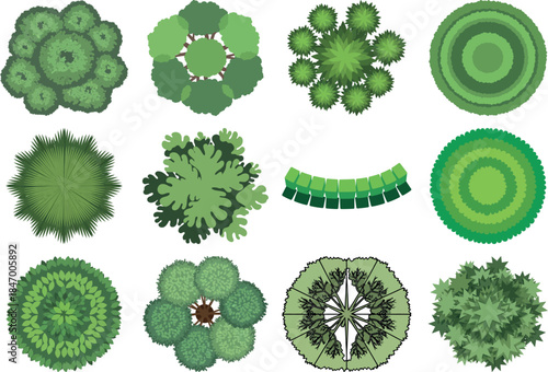 Microscopic view of various green algae and plant cells