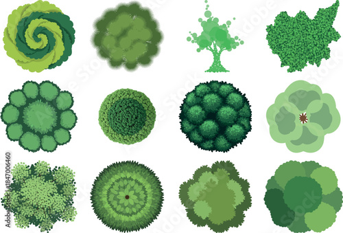 Aerial view of various lush green trees and shrubs in a patterned arrangement on white background