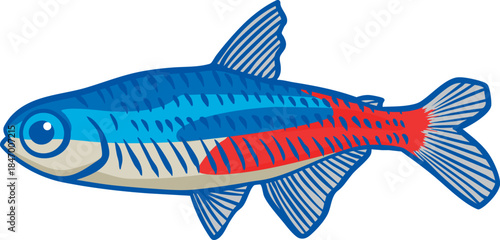 Colorful Neon Tetra (Paracheirodon innesi) Illustration 1