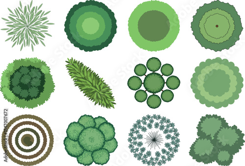 Microscopic view of various algae and cyanobacteria species
