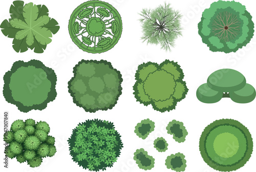 Collection of various green algae and plant specimens