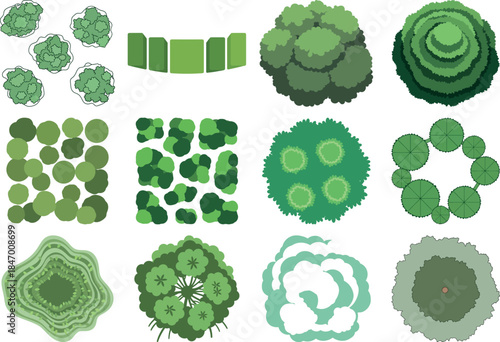 Variety of green moss and lichen growth patterns and formations