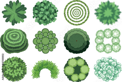 Collection of various succulent plants with unique shapes and patterns