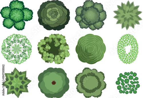 Collection of various microscopic green algae and phytoplankton species