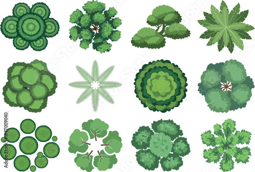 Variety of succulent plants and cacti species