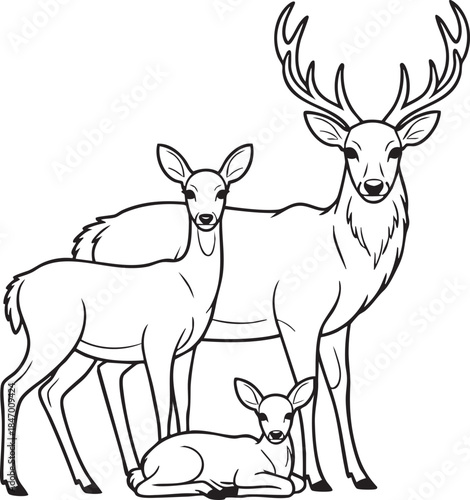 Line art illustration of a deer family with buck doe and fawn
