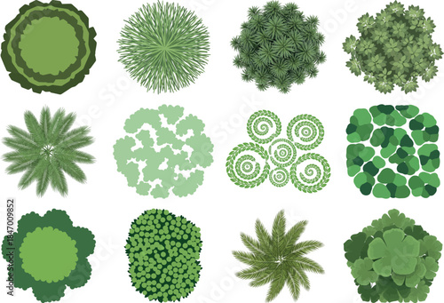Collection of various green algae and plant cells in different shapes and patterns