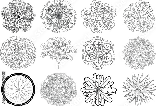 Collection of intricate floral patterns and designs in black and white