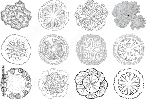 Collection of intricate circular designs with floral and mandala patterns