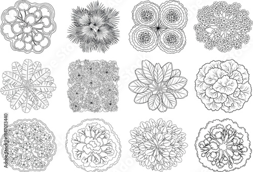 Collection of intricate black and white floral illustrations in various styles and patterns