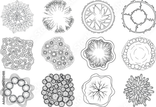 Collection of cellular structures and microscopic biological samples