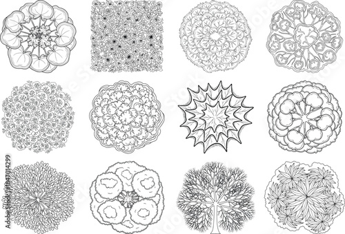 Collection of intricate cellular and microscopic structures in various patterns