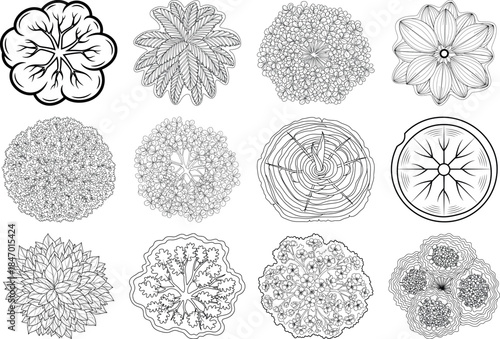 Collection of intricate snowflake designs and patterns