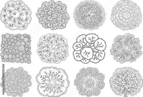 Collection of twelve detailed microscopic biological specimen images