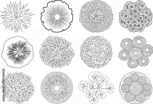 Collection of microscopic cell images with varied textures and structures