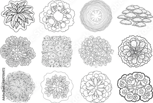 A collection of intricate black and white microscopic organism illustrations