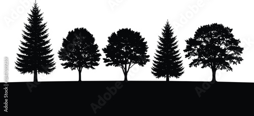 Set of diverse tree silhouettes vector illustration, featuring deciduous and evergreen species, representing nature, park design, forestry, and various 