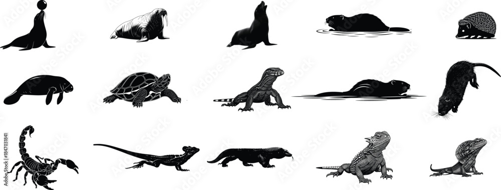 Fototapeta premium Collection of dinosaur and prehistoric animal silhouettes