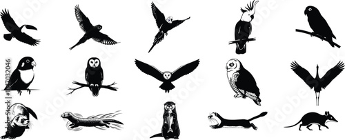 Collection of various bird silhouettes in different flight positions and actions