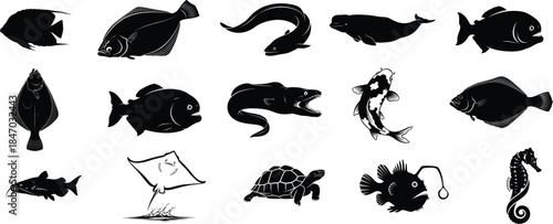 Collection of various sea creatures and fish silhouettes