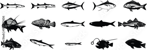 Collection of various fish species in black silhouette