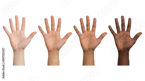 Diverse open palms. Four multiethnic hands palms facing up against white backdrop.