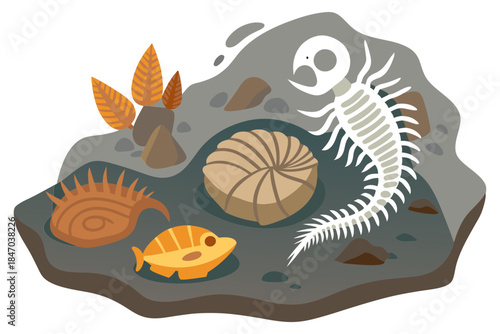 Prehistoric Marine Fossils Embedded In Stone Scientific Vector Art