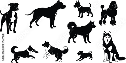 Diverse dog breed black silhouettes collection, various poses like sitting, standing, and running, domestic animal pet vector illustration set, husky, poodle, and terrier graphic.