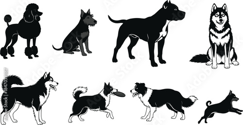 Diverse Dog Breeds Silhouette Collection Vector Illustration, Set of Canine Companions Including Poodle, Husky, and Border Collie, Pets and Domestic Animals Graphic Design for Veterinary and Grooming.