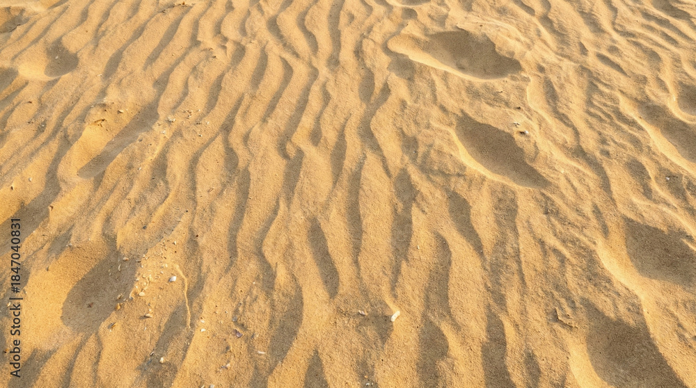 Fototapeta premium Golden Beach Sand Texture with Ripples