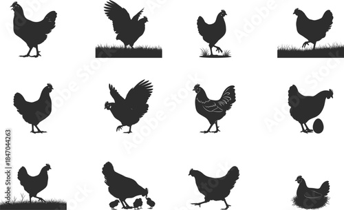 A collection of 10 black silhouette chicken images on white background