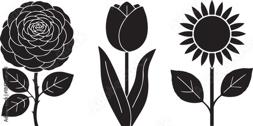 Black silhouette of rose, tulip, and sunflower on