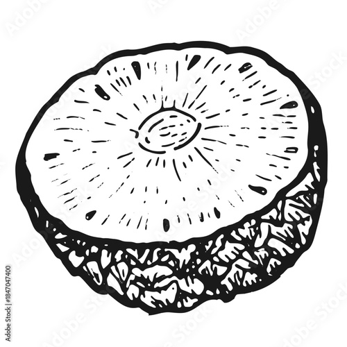 Pineapple cutting vintage illustration. Tropical ananas isolated, engraved retro drawing, natural fruit art for label, poster, menu or botanical design.