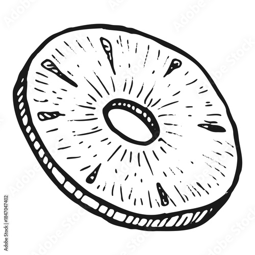 Pineapple vector food sketch. Tropical ananas ring isolated on white, retro line drawing, sweet summer fruit for dessert, menu, label or banner design.