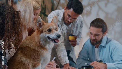 Funny dog corgis pet animal in office on business informal conference coworkers meeting talking laughing smiling analyze reviewing documents charts results startup growth diversity team women men